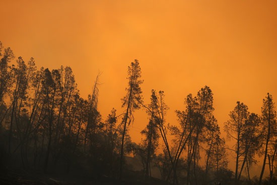رجال الإطفاء تكافح حرائق الغابات فى ولاية كاليفورنيا (4)