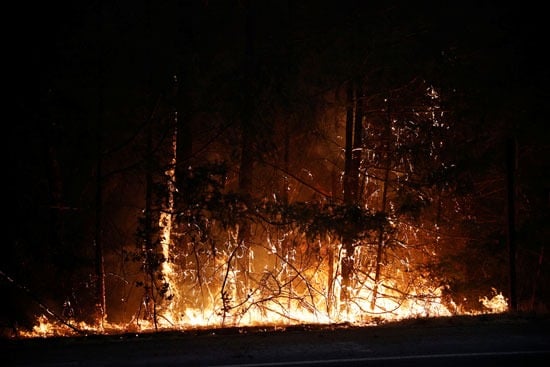 رجال الإطفاء تكافح حرائق الغابات فى ولاية كاليفورنيا (2)