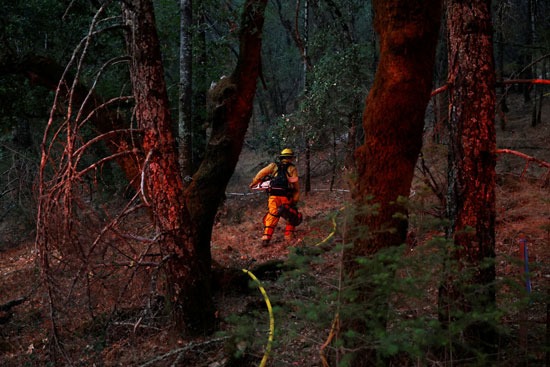 رجال الإطفاء تكافح حرائق الغابات فى ولاية كاليفورنيا (6)