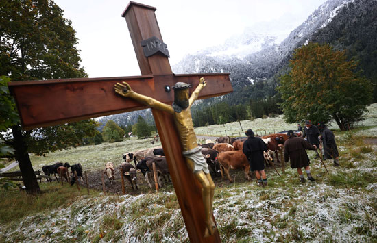 رعاة البقر يعلقون صليبا للسيد المسيح
