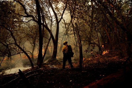 رجال الإطفاء تكافح حرائق الغابات فى ولاية كاليفورنيا (5)