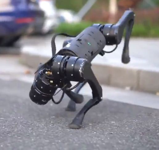 روبوتات كلاب تجوب الشوارع