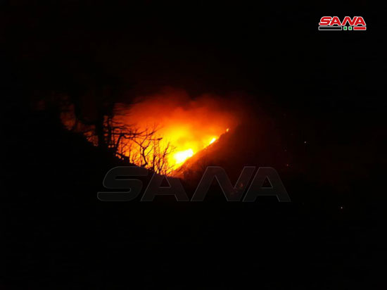 النيران تلتهم محمية الشوح بسوريا (1)