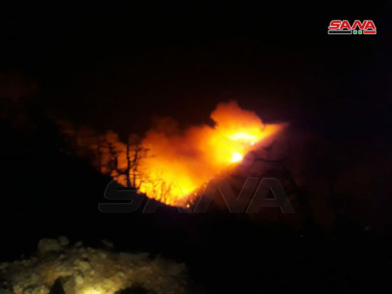 النيران تلتهم محمية الشوح بسوريا (4)