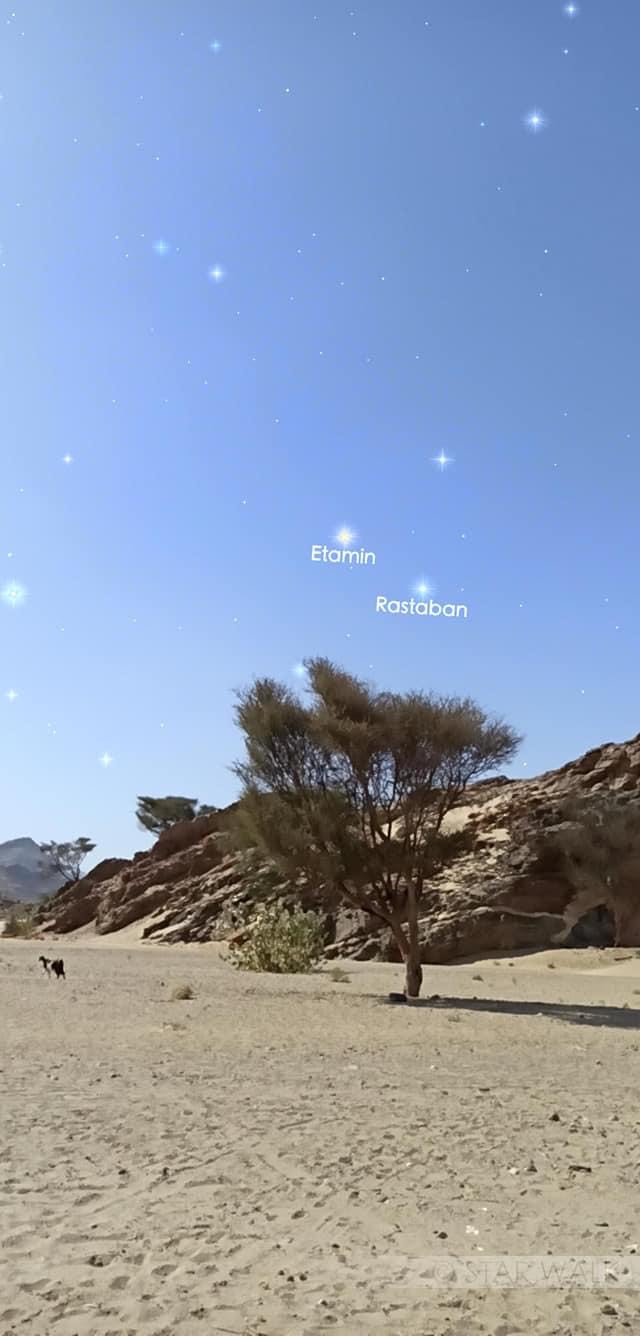 كيف يهتدى أهل البادية بالنجوم فى الصحراء الشرقية ظهور الثريا والجوزية مؤشر على ارتفاع درجات الحرارة سهيل دليل على برد النهار وطول الليل و العنقريب يحمل بشرى سقوط الأمطار وازدهار المراعى صور