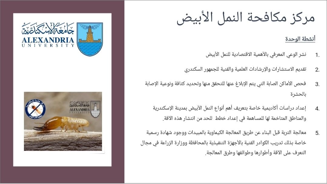 جامعة الإسكندرية تستعرض انجازات قطاع خدمة المجتمع وتنمية البيئة  (7)