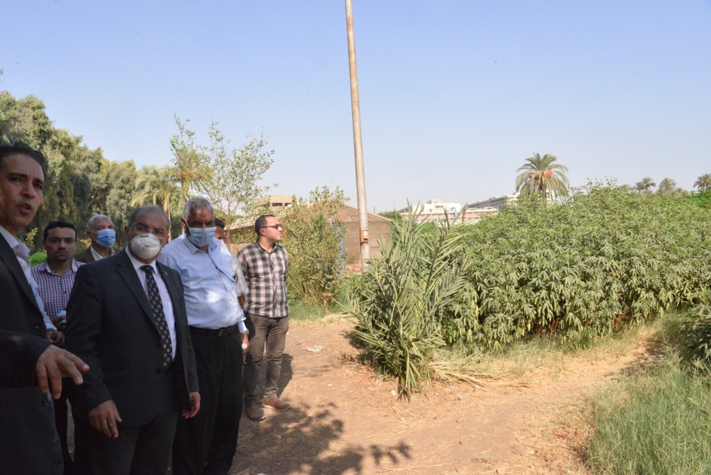 بدء تشغيل خط إنتاج لبيع الزيوت النباتية وانفراد جامعة أسيوط بزراعة أشجار الكسافا بالصعيد (5)