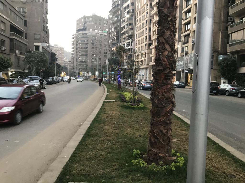 رفع سيارات الانتظار الخاطئ من شارع جزيرة العرب بالمهندسين (6)
