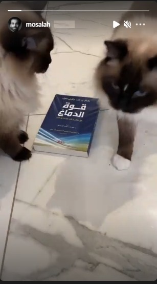 محمد صلاح يقرأ كتاب "قواة الدماغ"