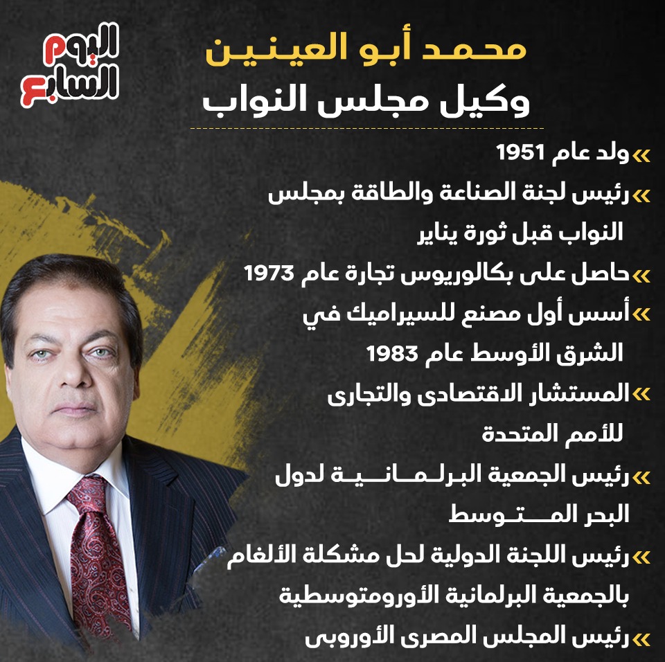 محمد أبو العينين وكيل مجلس النواب
