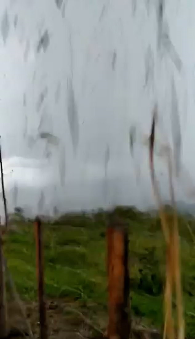 البرق يضرب شخصين خلال التصوير الطبيعة الخلابة في البرازيل (2)