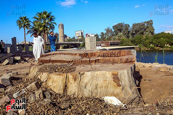 مذبحة أشجار الكافور المعمرة بكورنيش النيل بالعجوزة (17)