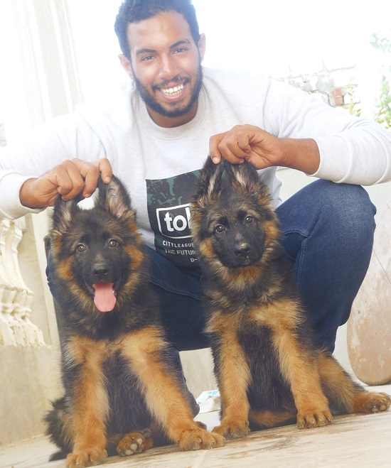 أحمد مع كلابه