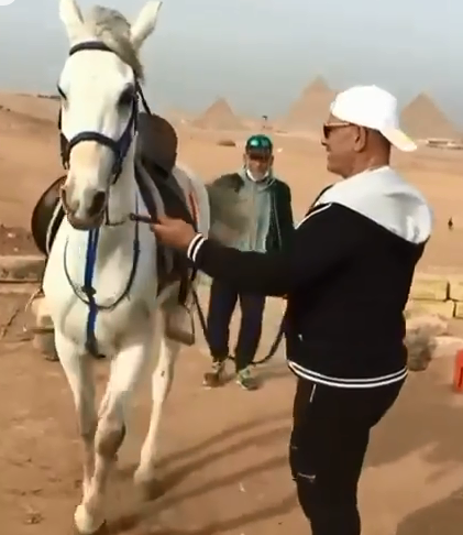 محمد لطفى مع الحصان
