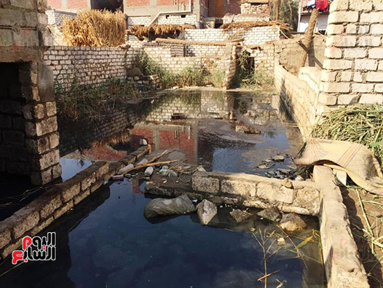 غرق-قرية-الكولا-بسوهاج-بالمياه-الجوفية--(2)