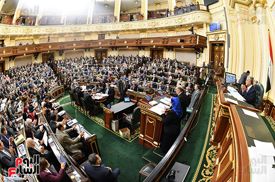الجلسة العامة بمجلس النواب (9)
