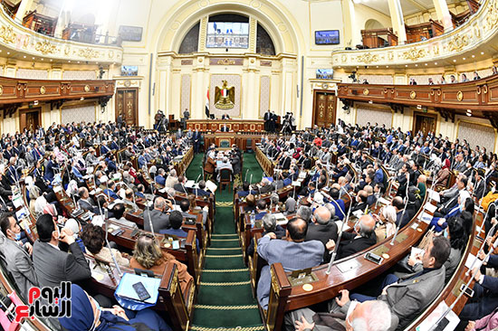 الجلسة العامة لمجلس النواب (3)