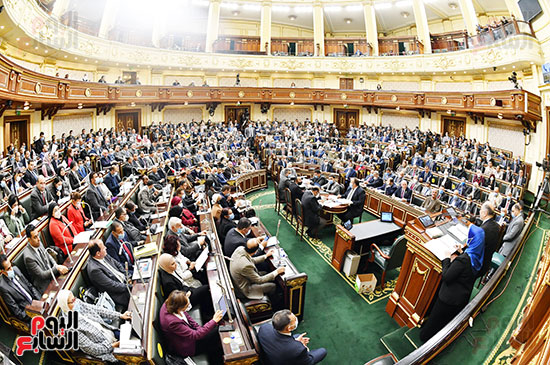 الجلسة العامة بمجلس النواب (8)