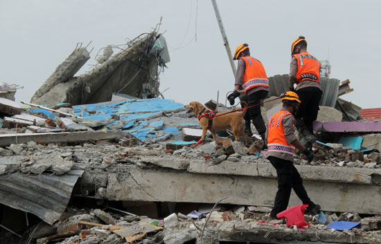 زلزال اندونيسيا (5)