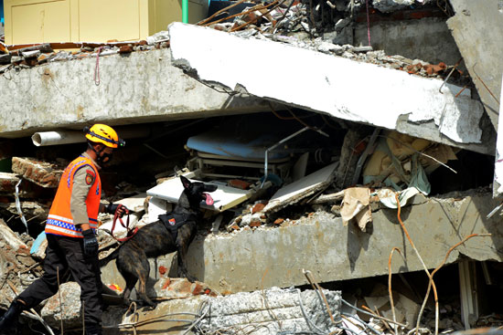 زلزال اندونيسيا (1)