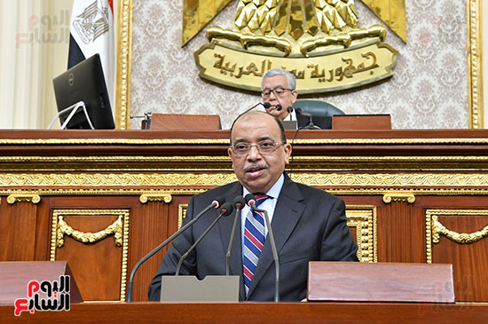  اللواء محمود شعراوي -  وزير التنمية المحلية (2)