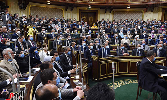 بيان الحكومة أمام مجلس النواب (6)