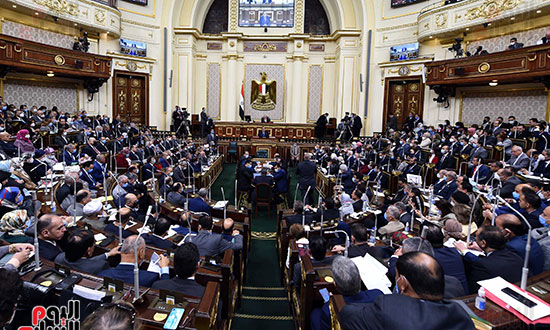 بيان الحكومة أمام مجلس النواب (23)
