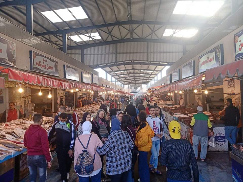 إقبال كبير على سوق السمك ببورسعيد  (7)