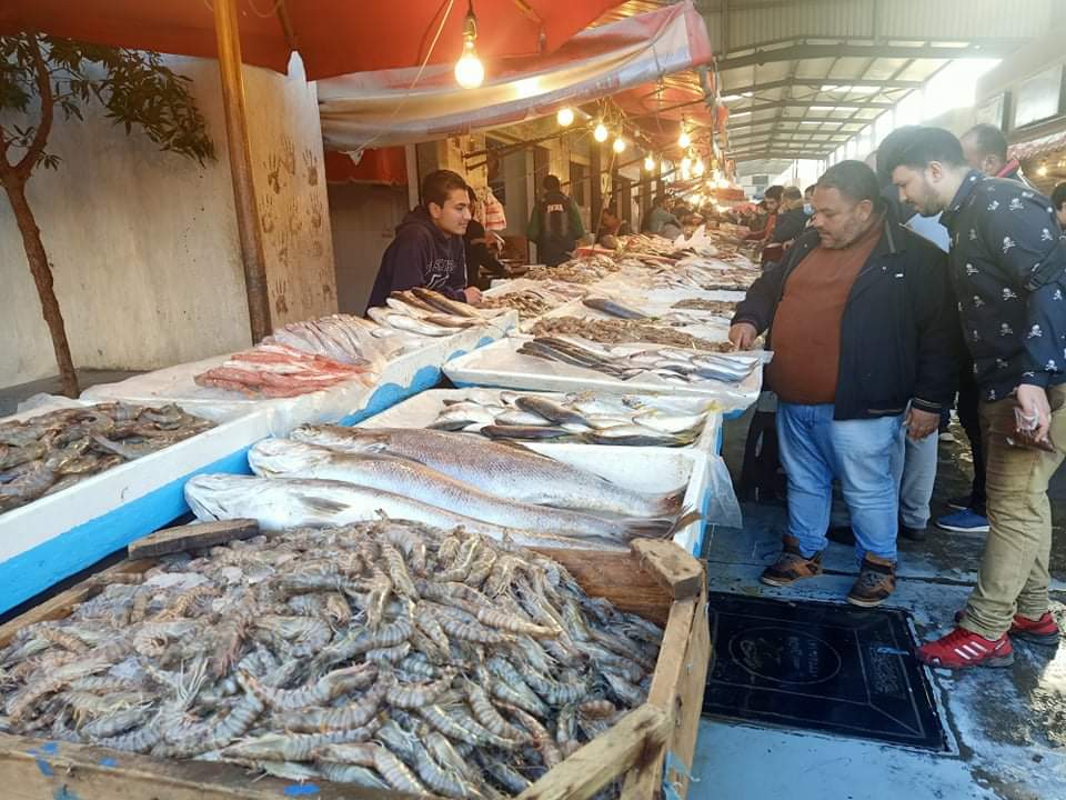 إقبال كبير على سوق السمك ببورسعيد  (9)