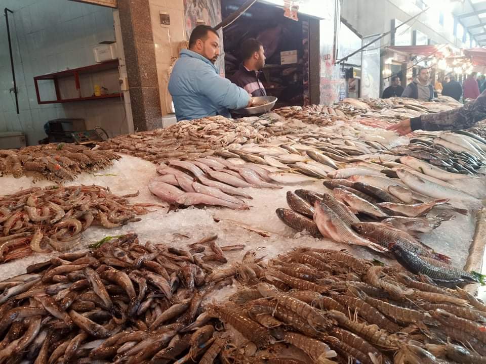 إقبال كبير على سوق السمك ببورسعيد  (5)