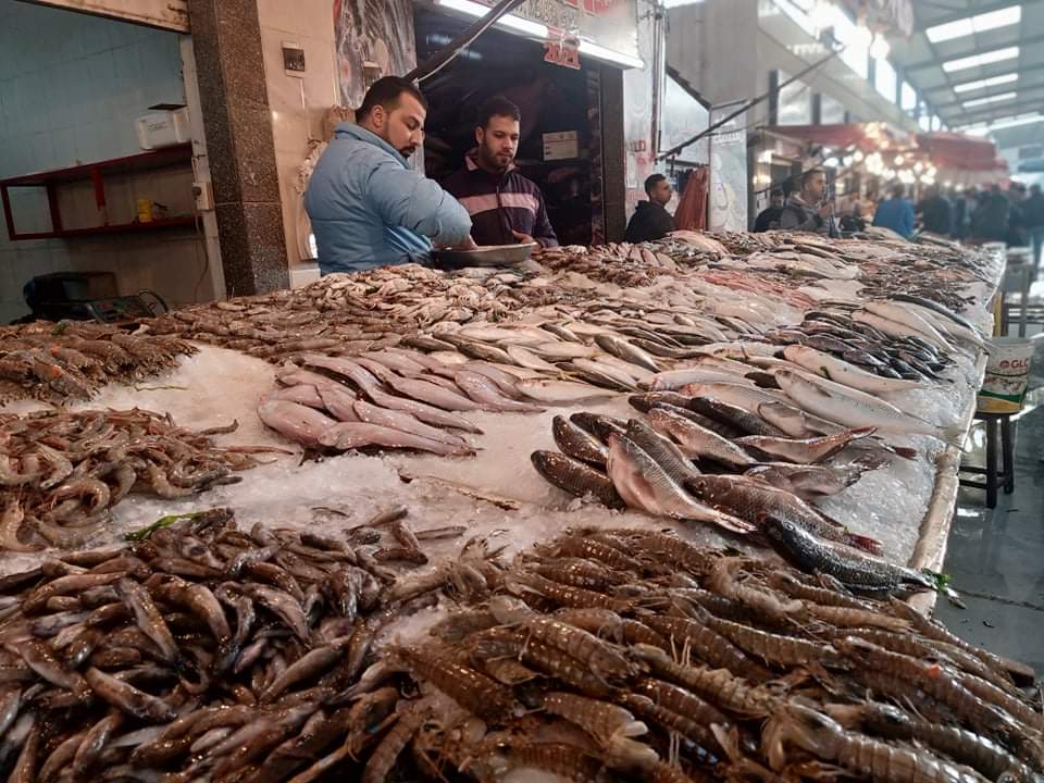 إقبال كبير على سوق السمك ببورسعيد  (4)