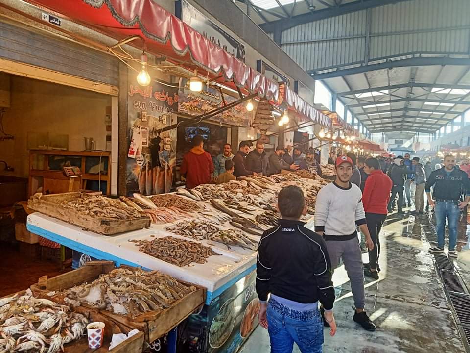 إقبال كبير على سوق السمك ببورسعيد  (8)