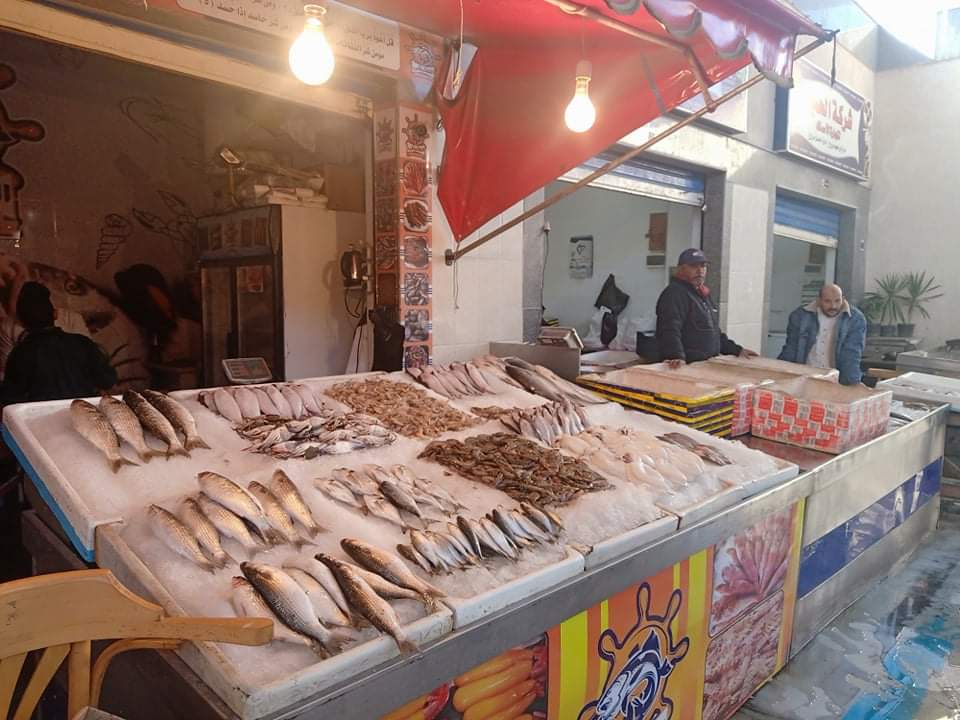 إقبال كبير على سوق السمك ببورسعيد  (10)