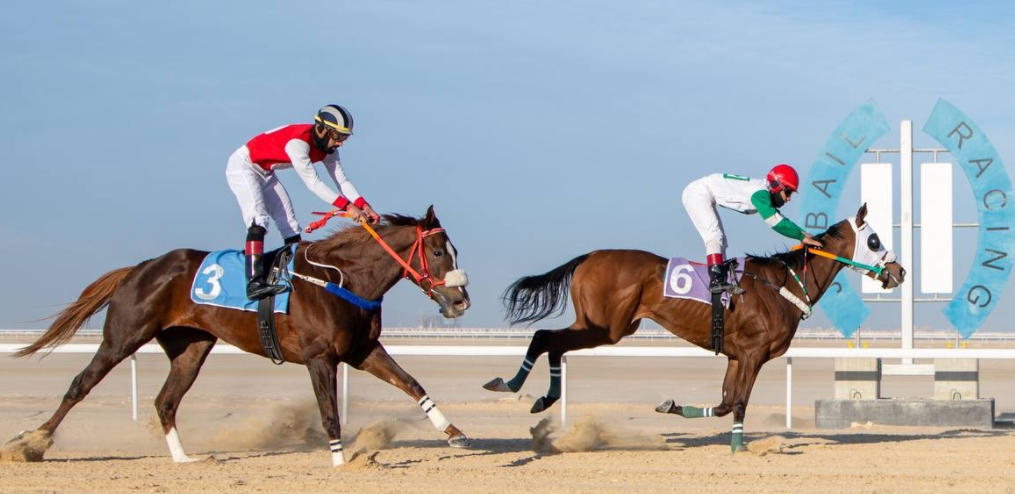 سباق الخيول في السعودية