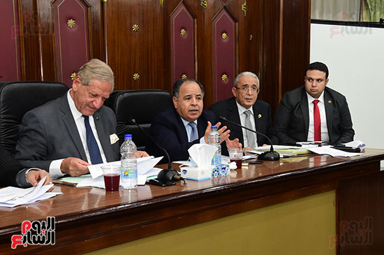 لجنة الخطة بمجلس النواب (6)