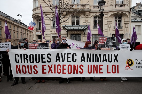 مظاهرات باريس لحماية الحيوانات