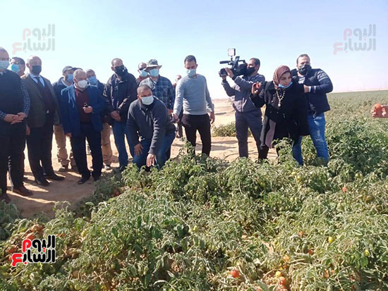 وزيرا الزراعة والرى يتفقدان مزرعة الطماطم (5)