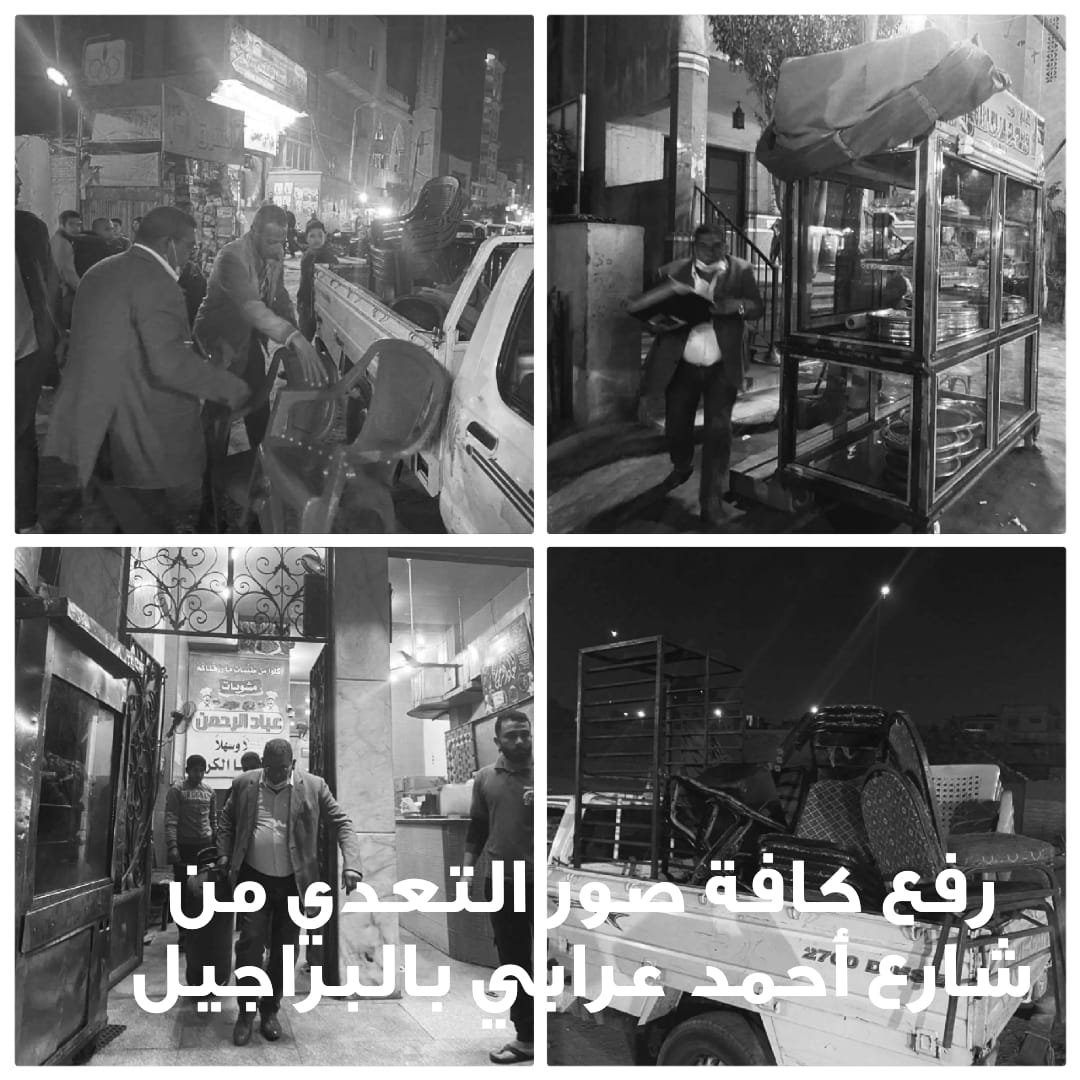 محافظة الجيزة تشن حملات بالأحياء والمدن (3)