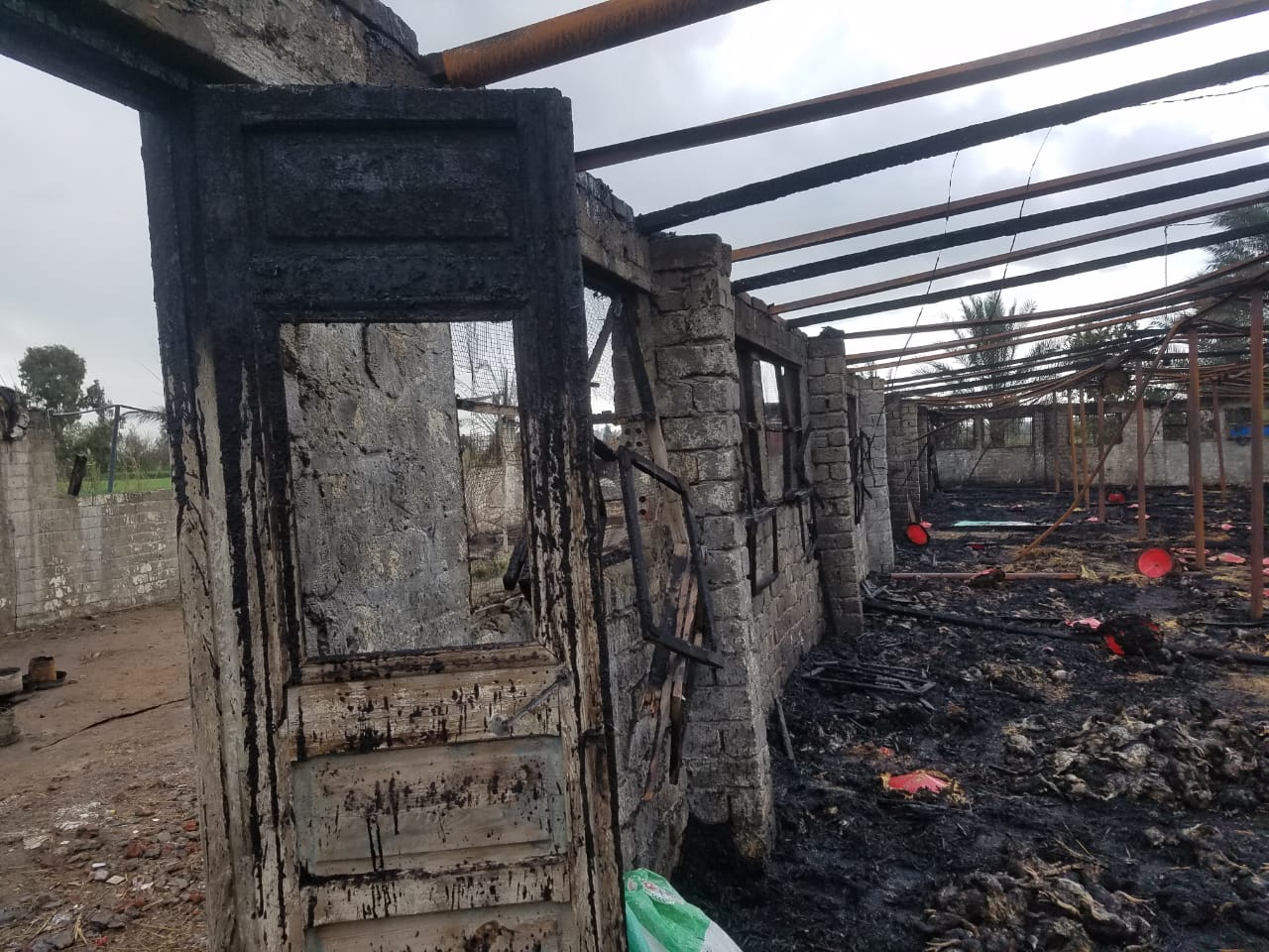 اثار الحريق بمزرعة دواجن
