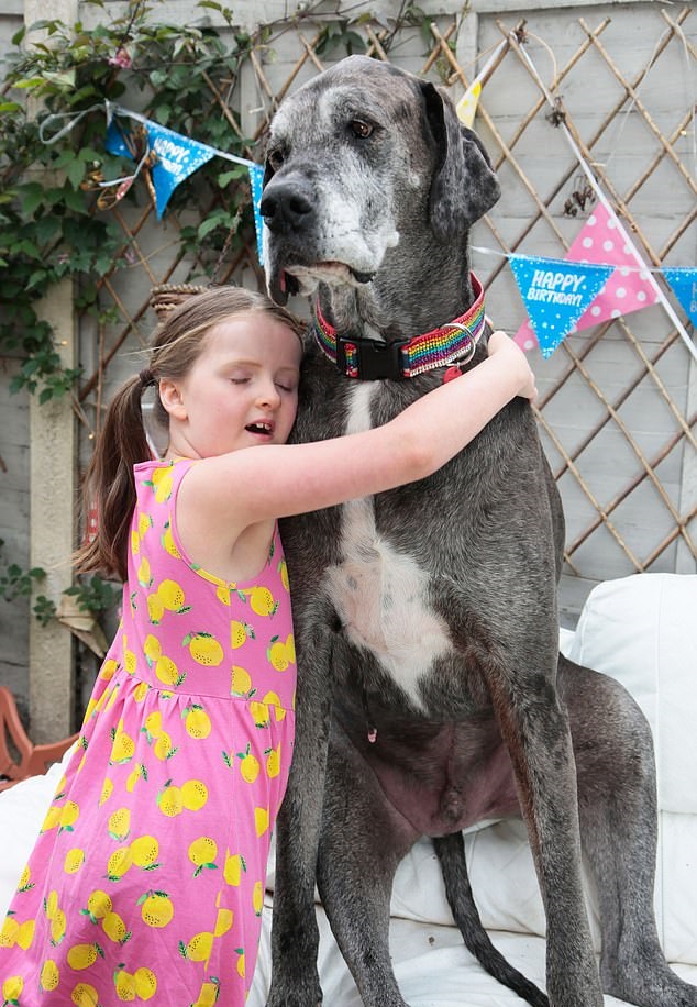 نفوق أطول كلب في العالم عن عمر 8 أعوام (2)