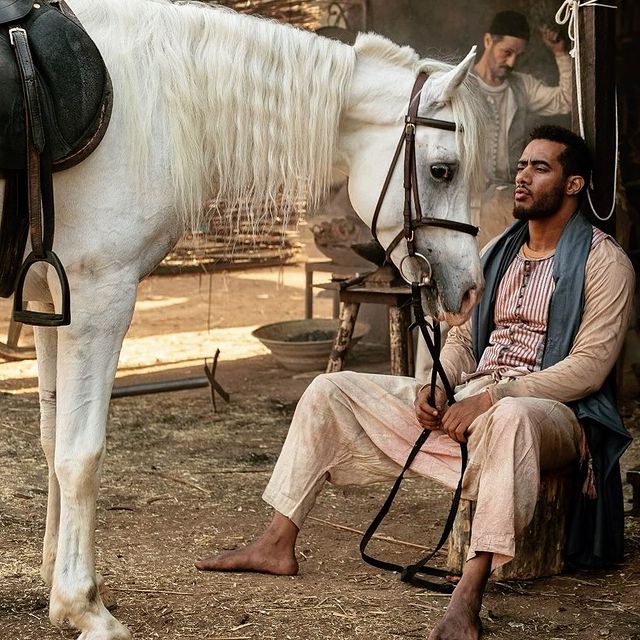 محمد رمضان مع الحصان