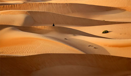 صحراء الإمارات (3)