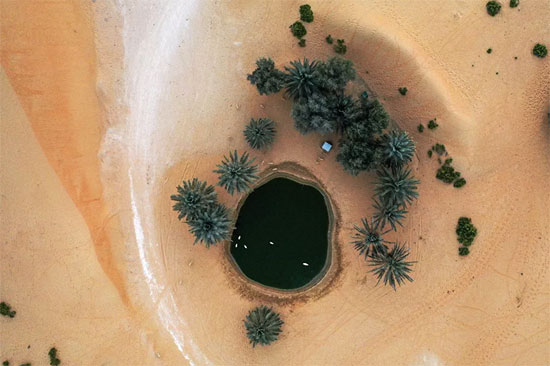 صحراء الإمارات (1)