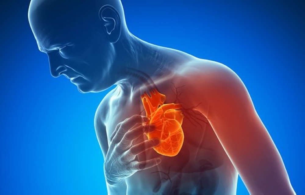 الدهون البنية تحميك من امراض القلب
