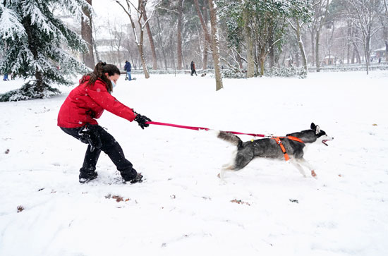 سيدة تلعب بكلبها وسط الثلج