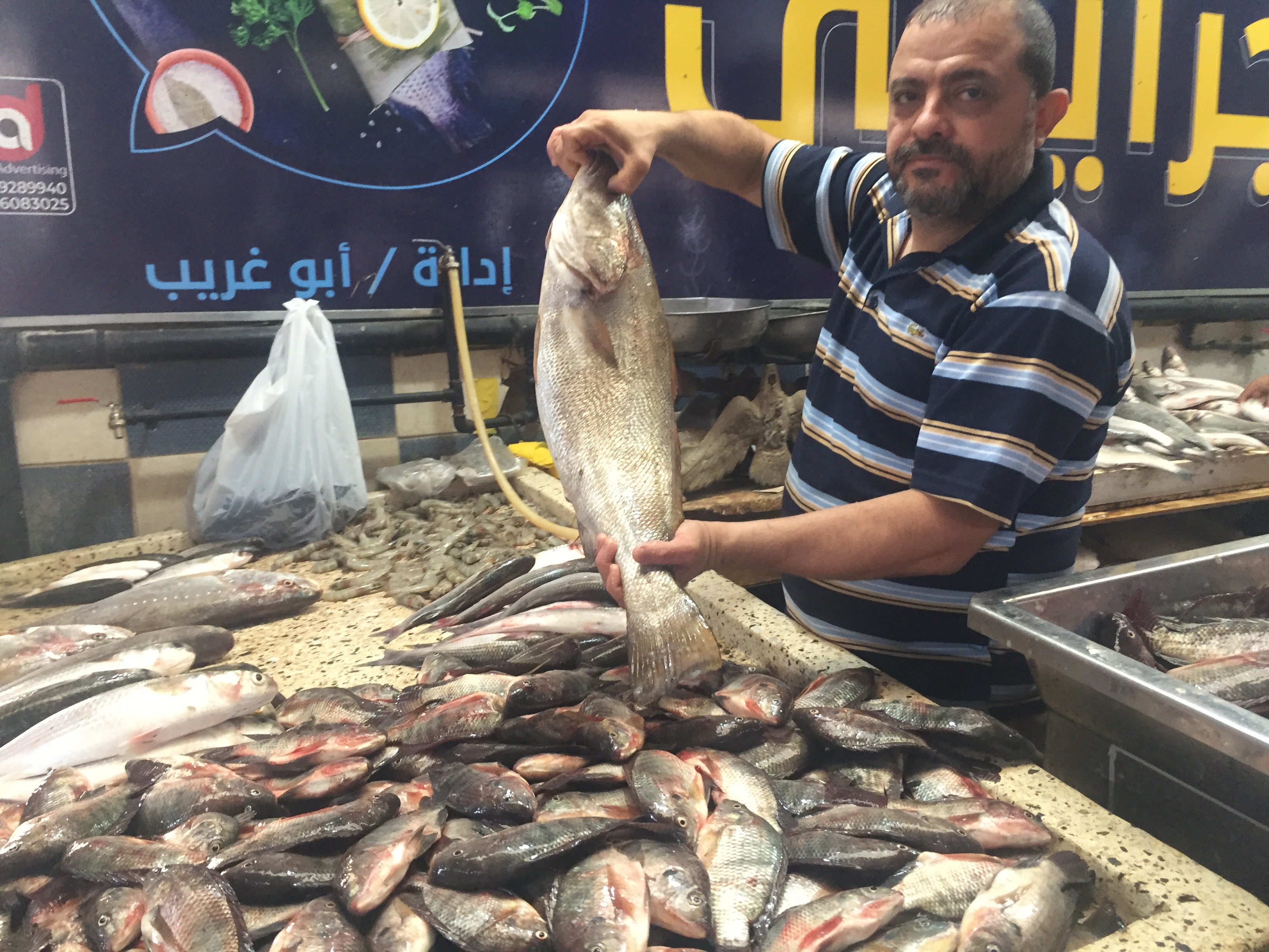 سوق الأسماك فى الإسماعيلية (1)