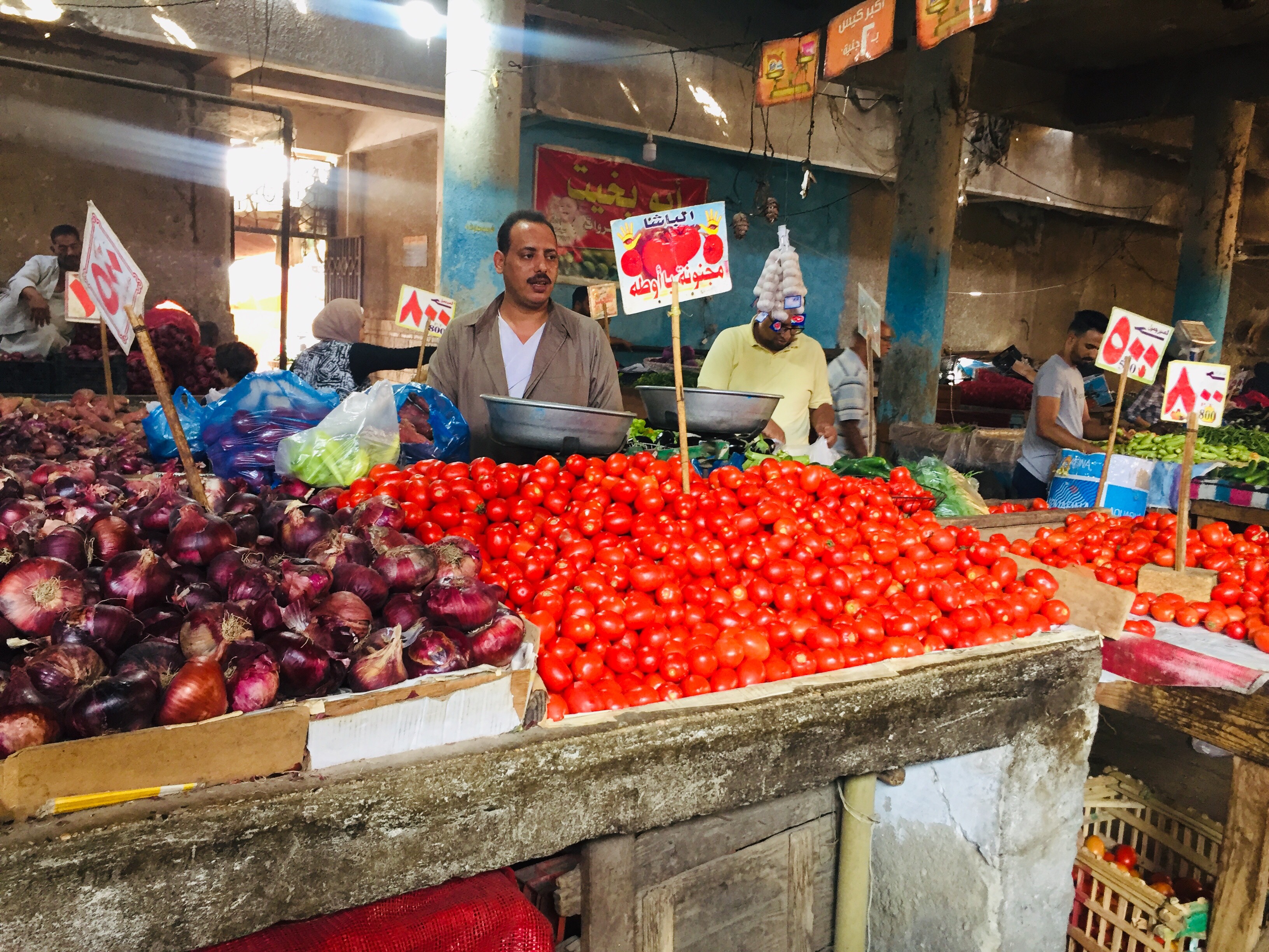 سوق الخضروات بالإسماعيلية (4)