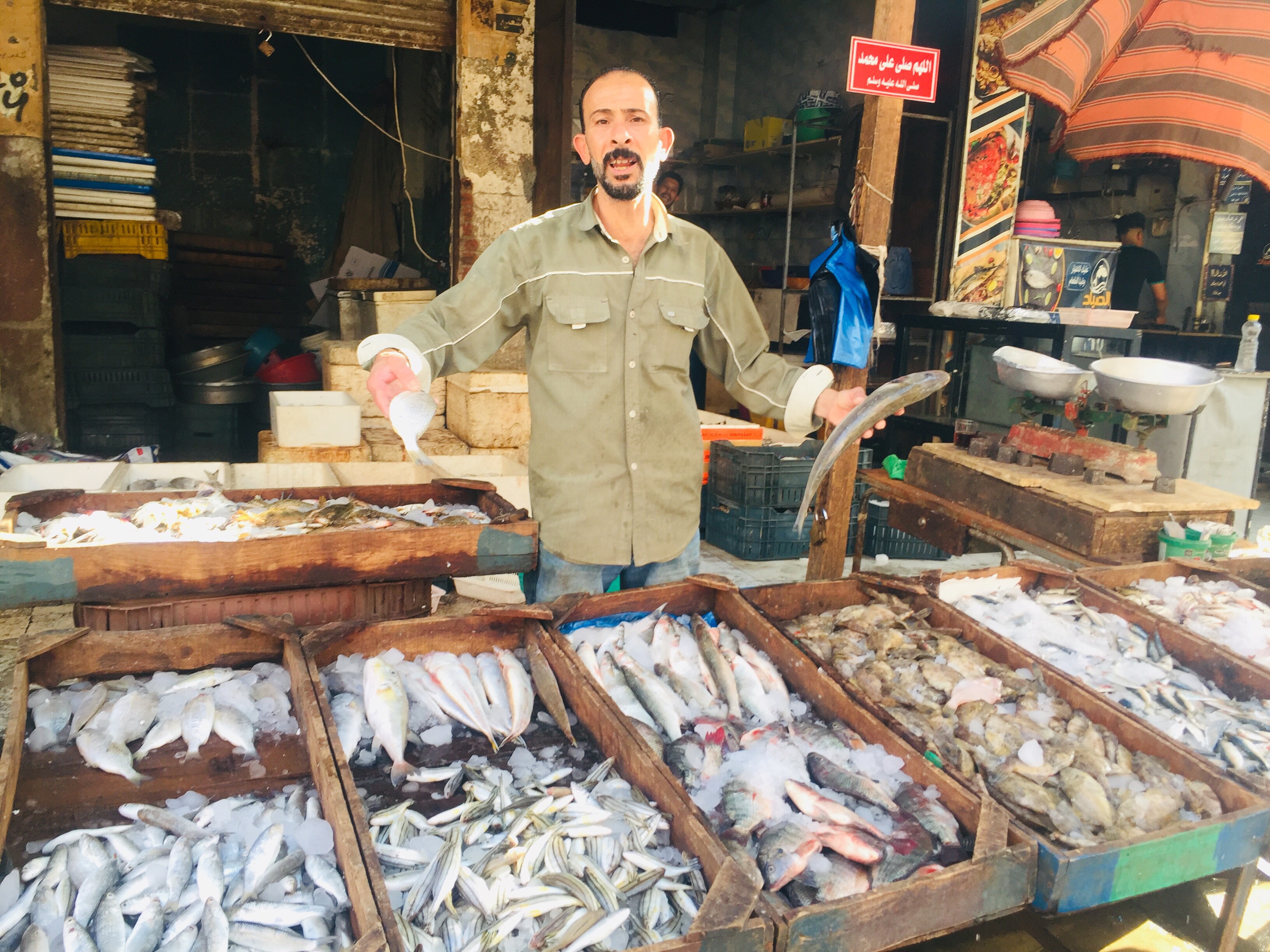 سوق بورسعيد للأسماك (3)