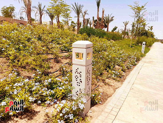 أعمدة-الإضاءة أعمدة-الإضاءة