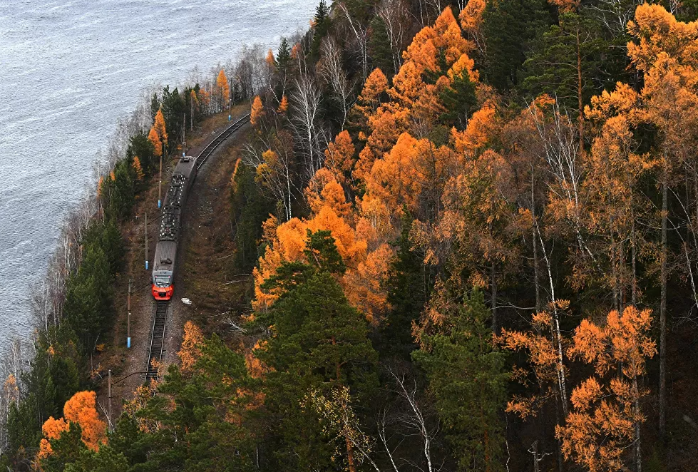 يتحرك قطار كهربائي في الضواحي على طول نهر ينيسي في خريف شرق التايغا السيبيرية في إقليم كراسنويارسك الروسي.